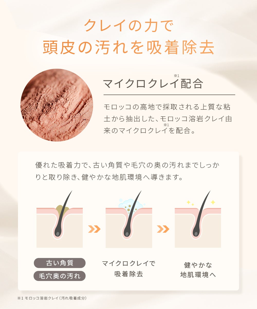 CLAYGE（クレージュ） シャンプー&トリートメント FSシリーズ | betop